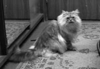 ���1.jpg (9180 �o�C�g)