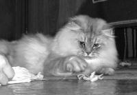 ���2.jpg (8183 �o�C�g)