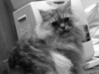 ���3.jpg (8591 �o�C�g)