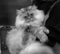 goro4.jpg (9398 �o�C�g)