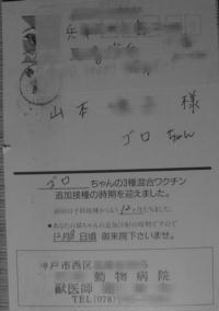 wku.jpg (8383 �o�C�g)