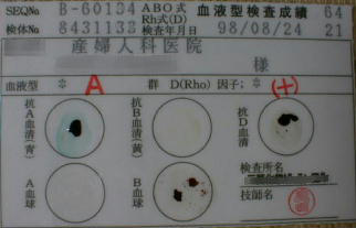 a-plus.jpg (12195 �o�C�g)