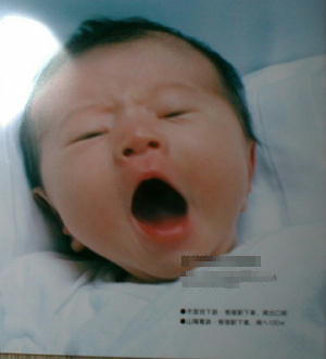 panf.jpg (12533 �o�C�g)