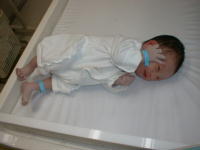 ryou0-4.jpg (6851 �o�C�g)