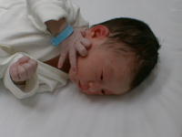 ryou0-5.jpg (6494 �o�C�g)