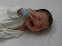 ryou0-6.jpg (6107 �o�C�g)