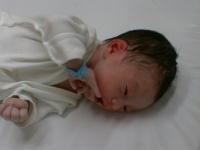 ryou0-7.jpg (6315 �o�C�g)