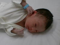 ryou0-8.jpg (6477 �o�C�g)