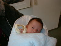 ryou0-13.jpg (6921 �o�C�g)