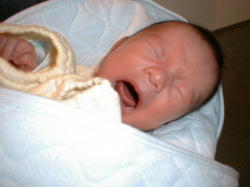 ryou0-15.jpg (9635 �o�C�g)