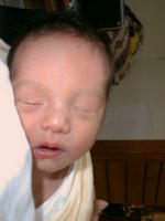 ryou0-16.jpg (7208 �o�C�g)