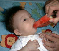 ryou0-215.jpg (10443 �o�C�g)