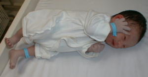 ryou0-4.jpg (8460 �o�C�g)