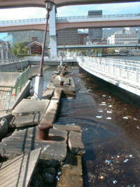 ��k�Ђ̎��̍`�̗l�q��ۑ����Ă��܂�