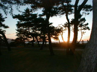 19yu1.jpg (19922 �o�C�g)