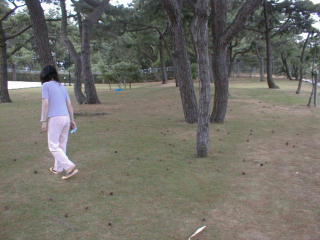 28ma1.jpg (17054 �o�C�g)