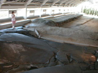 4noji3.jpg (16598 �o�C�g)