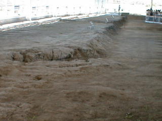 5noji4.jpg (14671 �o�C�g)