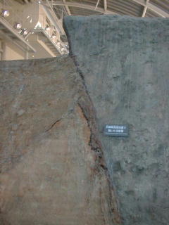 7noji6.jpg (14511 �o�C�g)