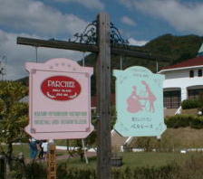 8pa1.jpg (19586 �o�C�g)