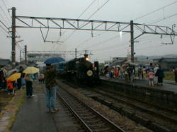 �ʐ^���B�낤�Ƒ吨�̐l���B�@�N���b�N����Ɗg�債�܂�